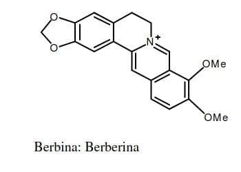 Berberina. Una revisión bibliográfica de sus propiedades terapeuticas - Imagen 1