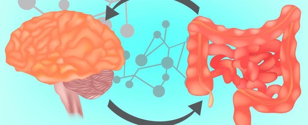 El eje microbiota-intestino-cerebro en enfermedades cerebrales agudas y crónicas