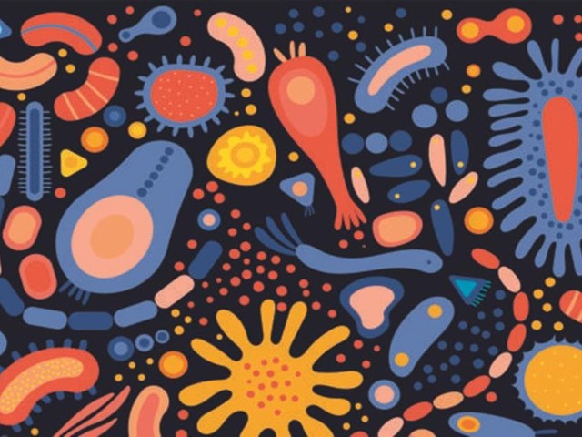 La Microbiota. El microcosmos interior del que no somos conscientes