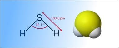 sulfuro de hidrógeno en el organismo, causas y efectos - Imagen 1